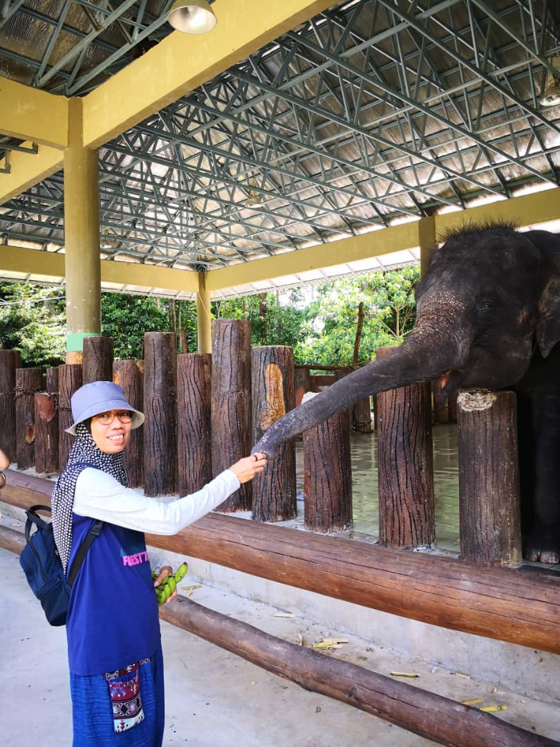 Employee petting elephant